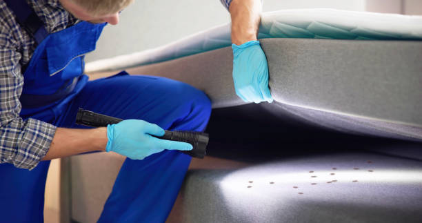 Best Residential Pest Control  in Waverly, MN