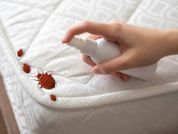 Best Affordable Pest Control Services  in Waverly, MN