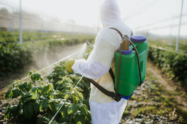 Best Pest Control Near Me  in Waverly, MN